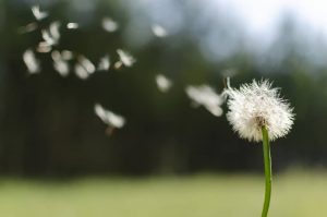 101402575_156834312568574_3542355108660510720_o